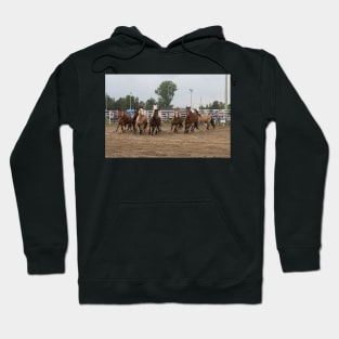 Horses on the run Hoodie